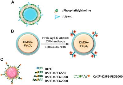 Nanotechnology for Targeted Therapy of Atherosclerosis